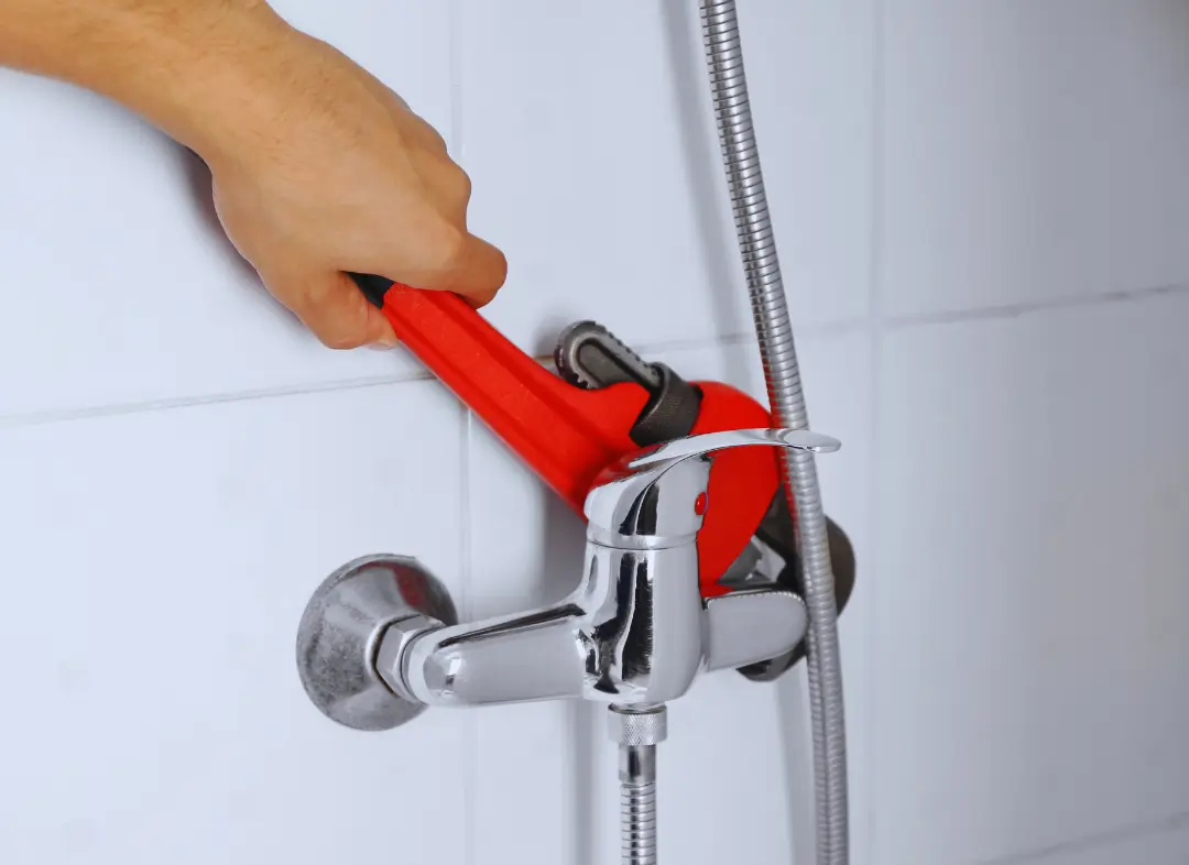 Mitigeur Thermostatique douche Saint-Julien-en-Genevois