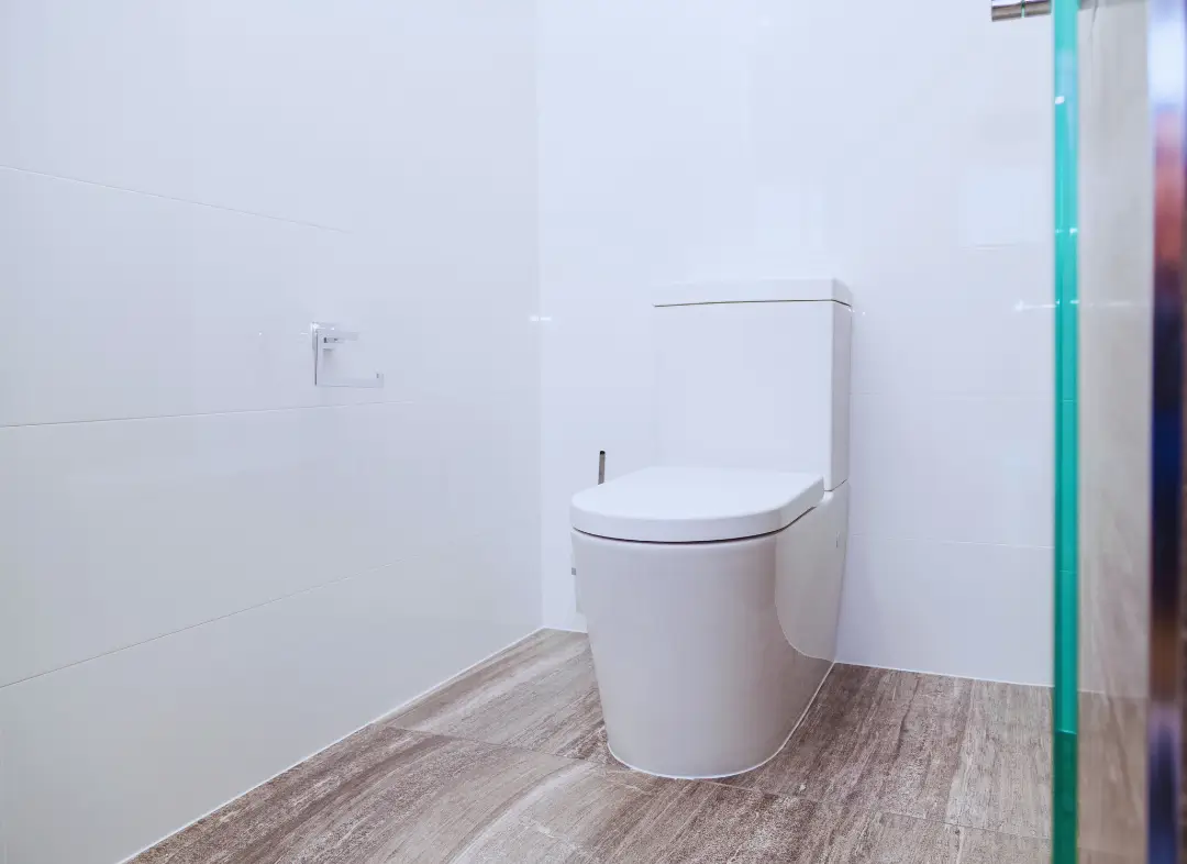 Remplacement de wc Saint-Julien-en-Genevois