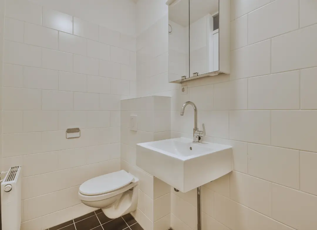 Pose WC Suspendu Saint-Julien-en-Genevois